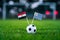 Egypt - Uruguay, Group A, Friday, 15. June, Football, World Cup, Russia 2018, National Flags on green grass, white football ball o