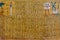 Egyptian ancient papyrus with the different pictures and hieroglyphics