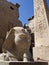 Egyptian antiquities in front of the entrance to the Luxor Temple