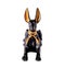 Egyptian Anubis Statue isolated on white background .