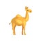 Egyptian camel. Cartoon character of desert animal. Creature with hump on its back. Graphic element for promo poster of