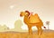 Egyptian camel in the desert