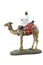 Egyptian camel rider
