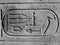 Egyptian cartouche in B/W
