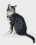 Egyptian cat. Spotted gray cat. Favorite pets. Vector illustration.