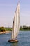 Egyptian Felucca sailing on the Nile