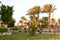 Egyptian garden with palm trees in hotel SUNRISE Garden Palace Resort