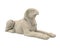 Egyptian God Horus Statue Isolated