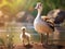 Egyptian Goose with gosling  Made With Generative AI illustration