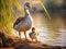 Egyptian Goose with gosling  Made With Generative AI illustration