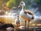 Egyptian Goose with gosling  Made With Generative AI illustration