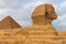 Egyptian Great Sphinx and pyramids of Giza in Cairo, Egypt