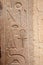Egyptian Hieroglyphs : Temple of Hatshepsut