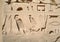 Egyptian images and hieroglyphs .