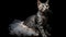 Egyptian Mau Cat In A Ballet Outfit Wearing On Black Background. Generative AI