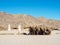 Egyptian mountain, long view. Reed shed with exotic fabric before mountain. Bedouin village. Blue sky is clear. Egyptian