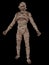 Egyptian mummy walking