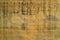 Egyptian papyrus texture