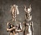 Egyptian Pharaoh Tutankhamun and Isis on a brown background