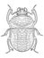 Egyptian Scarab beetle coloring vector for adults