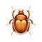 Egyptian scarab beetle on white vector