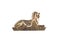 Egyptian Sphinx. Golden egyptian sphinx from metalic material is