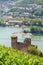 Ehrenfels Castle near Rudesheim am Rhein, Germany