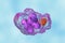 Ehrlichia bacteria morula within macrophages, 3D illustration