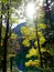 Eibsee sunday walk - german famous alpine bavarian Lake seen from the behind trees - Sun beam