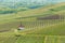 Eichert Kapelle in the vineyard in spring