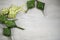 Eid Mubarak background with green and white Ketupat Islamic. Ketupat Rice Dumpling on white wooden background.