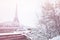 Eifel tower Passerelle Debilly bridge with snow