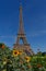 Eiffel tower behind flowers
