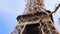 Eiffel tower with branch of chestnut tree