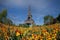 Eiffel tower in the landscape in Paris from the Champ de Mars with a colorful garden and flowers in the foreground