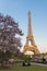 Eiffel Tower with Magnolia flowers. Paris, France