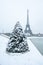 Eiffel tower and pine tree under the snow in winter - Paris