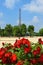 Eiffel Tower and red roses, Paris, France