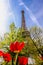 Eiffel Tower with red tulips in Paris, France