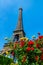 The Eiffel Tower seen from beyound read and yellow roses in Paris, France