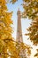 Eiffel tower, yellow automnal trees, Paris France