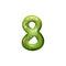 Eight digit figure of kiwi isolated juicy numeral