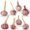 Eight heads of fresh red garlic on a white background. Full depth of field