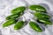 Eight hot green jalapeno peppers