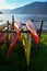 Eight kayaks in yellow and red on a rack