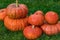Eight orange pumpkins lie on the green grass