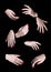 Eight Woman Hands Isolated. Nail Art