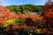 Eikando autumn foliage, Kyoto