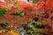 Eikando garden in autumn, Kyoto