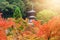 Eikando pagoda with autumn color, Kyoto